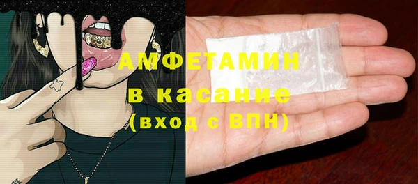 сатива Балахна