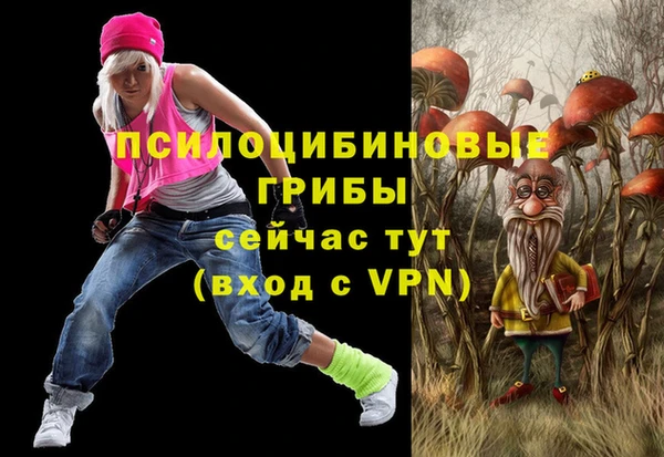 сатива Балахна