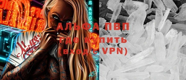 сатива Балахна