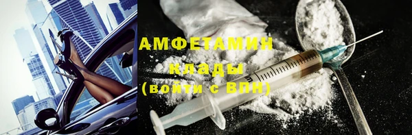прущие грибы Беломорск