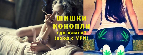 прущие грибы Беломорск
